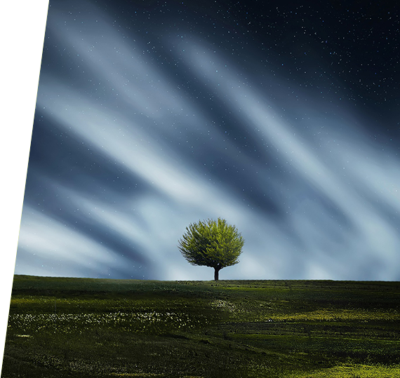 腾博会官网 - 诚信为本,专业效劳!